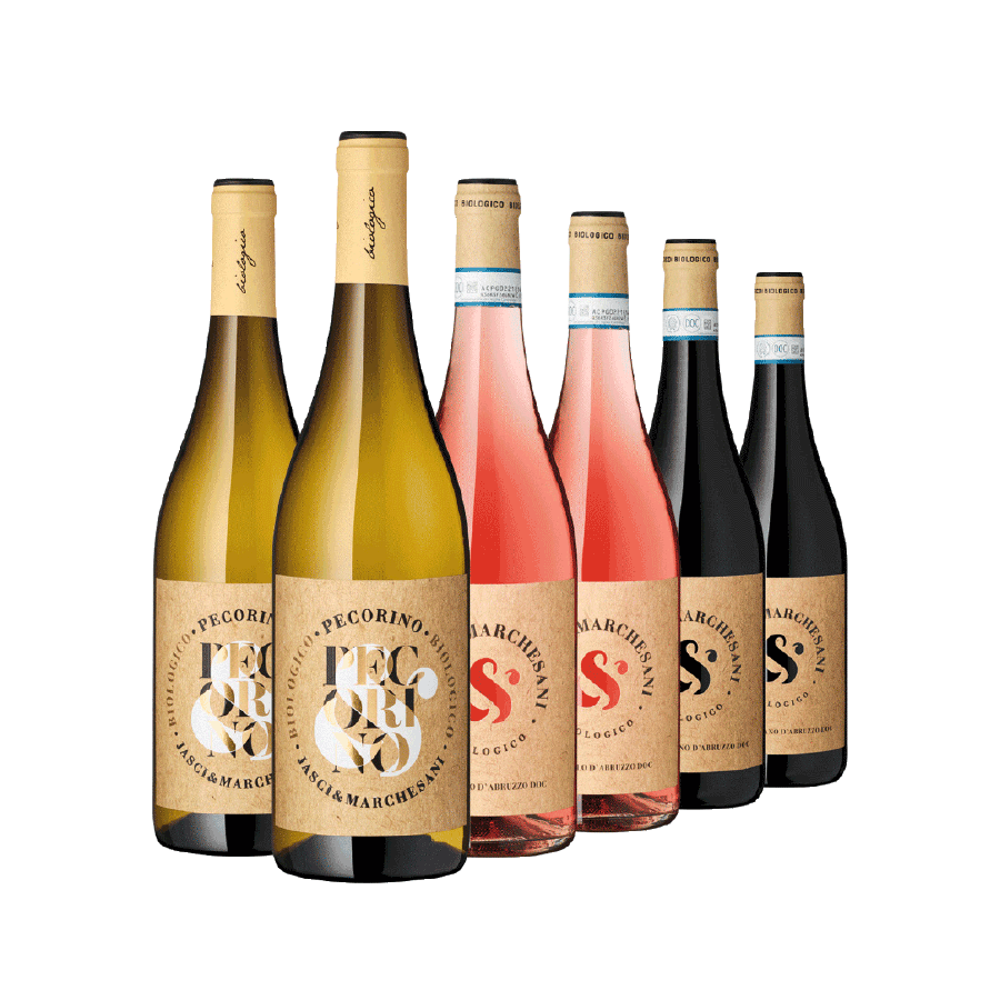 Produktabbildung 1 Weinauswahl „Italienischer Bio-Pionier“, bio