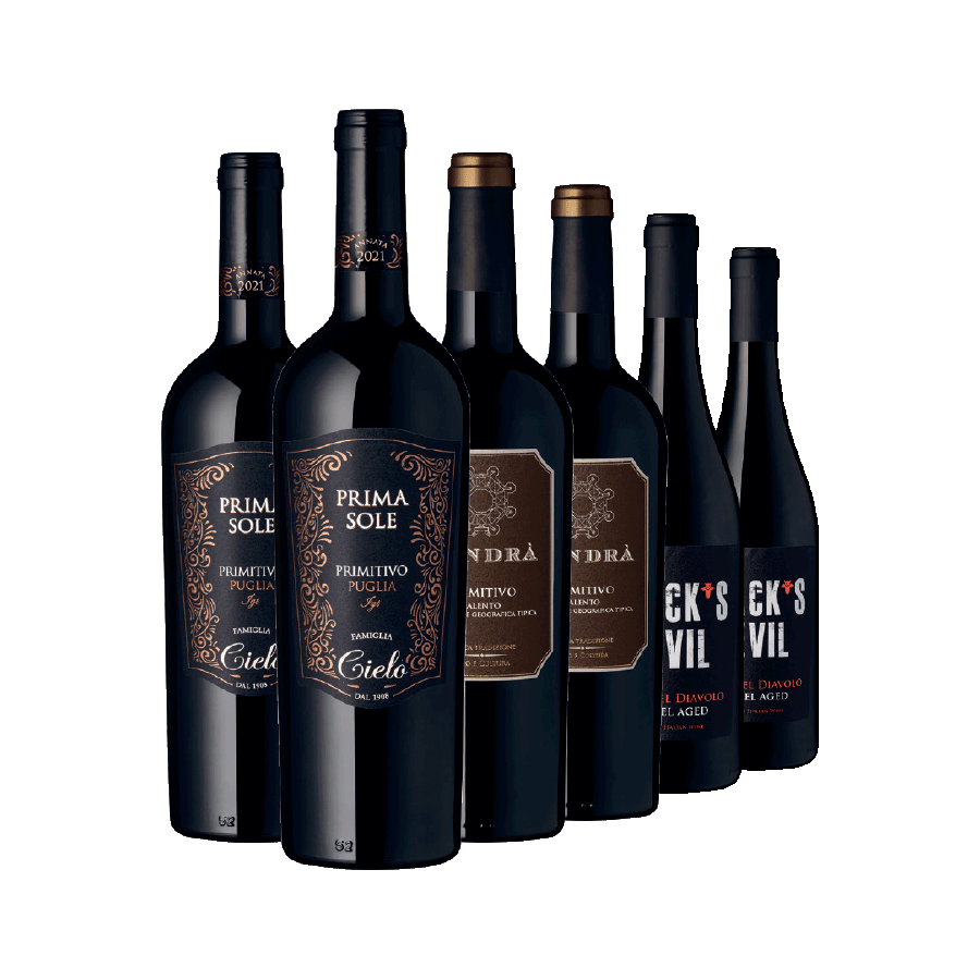Produktabbildung 1 Weinauswahl „Piazza Primitivo“
