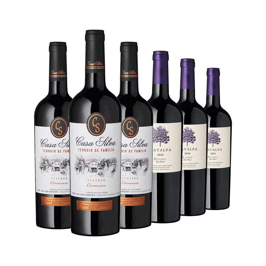 Produktabbildung 1 Weinauswahl „Anden-Highlights“