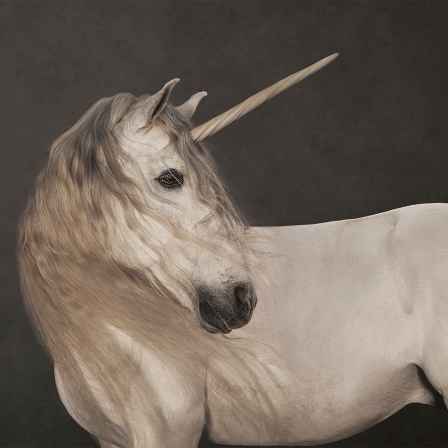 Bild 1 zur Ausstellung „Einhorn. Das Fabeltier in der Kunst“ – exklusive Tickets mit Zeitfenster