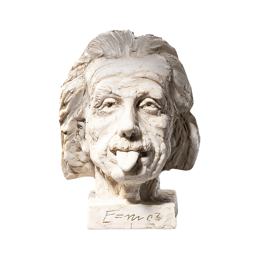 Produktabbildung 1 „Einstein-Kopf“