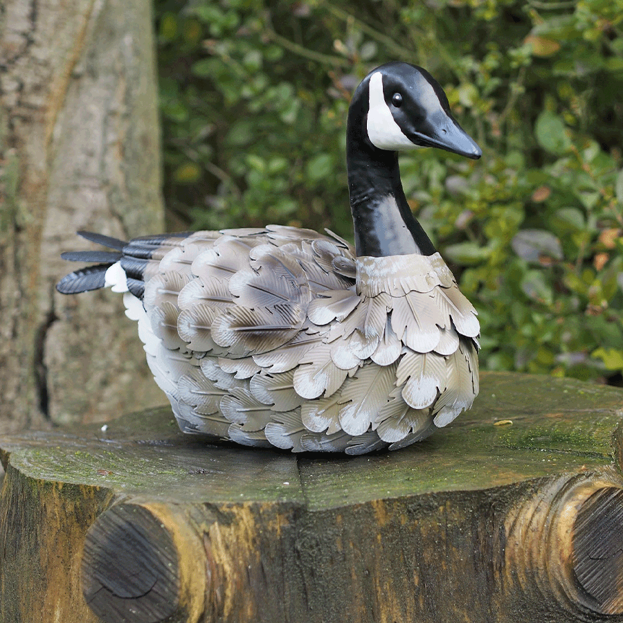 Produktabbildung 1 Gartenskulptur „Kanadagans“