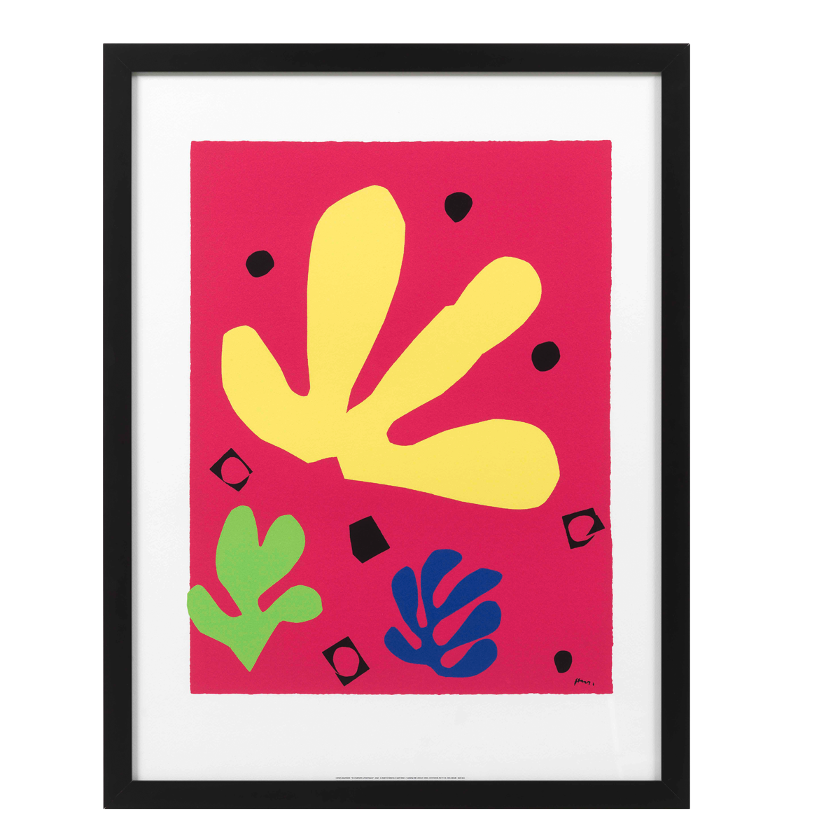 Produktabbildung 1 „Elements Végetaux“