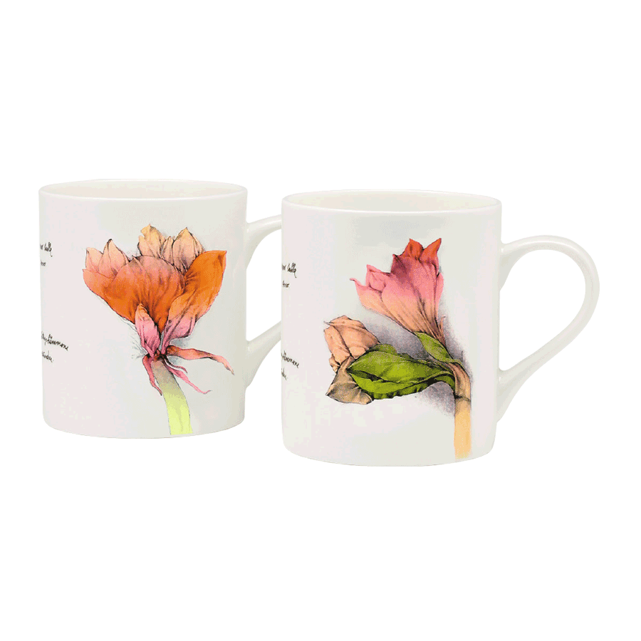 Produktabbildung 1 Kaffeebecher-Set „Amaryllis“
