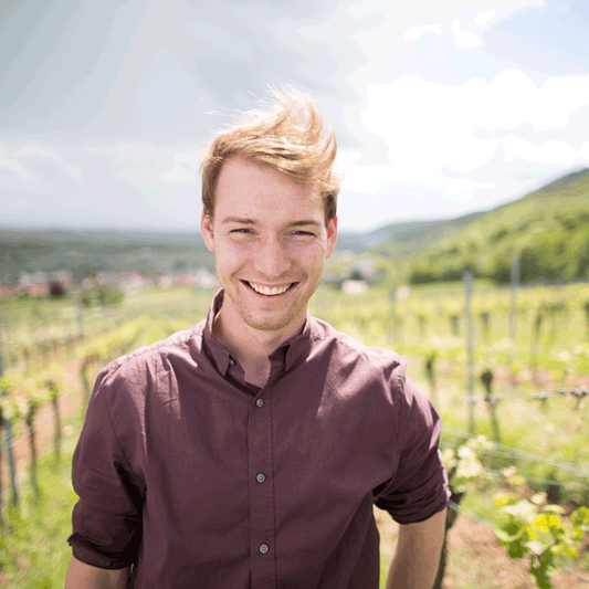 Produktabbildung 2 Weinauswahl „Pfälzer Supertalent“