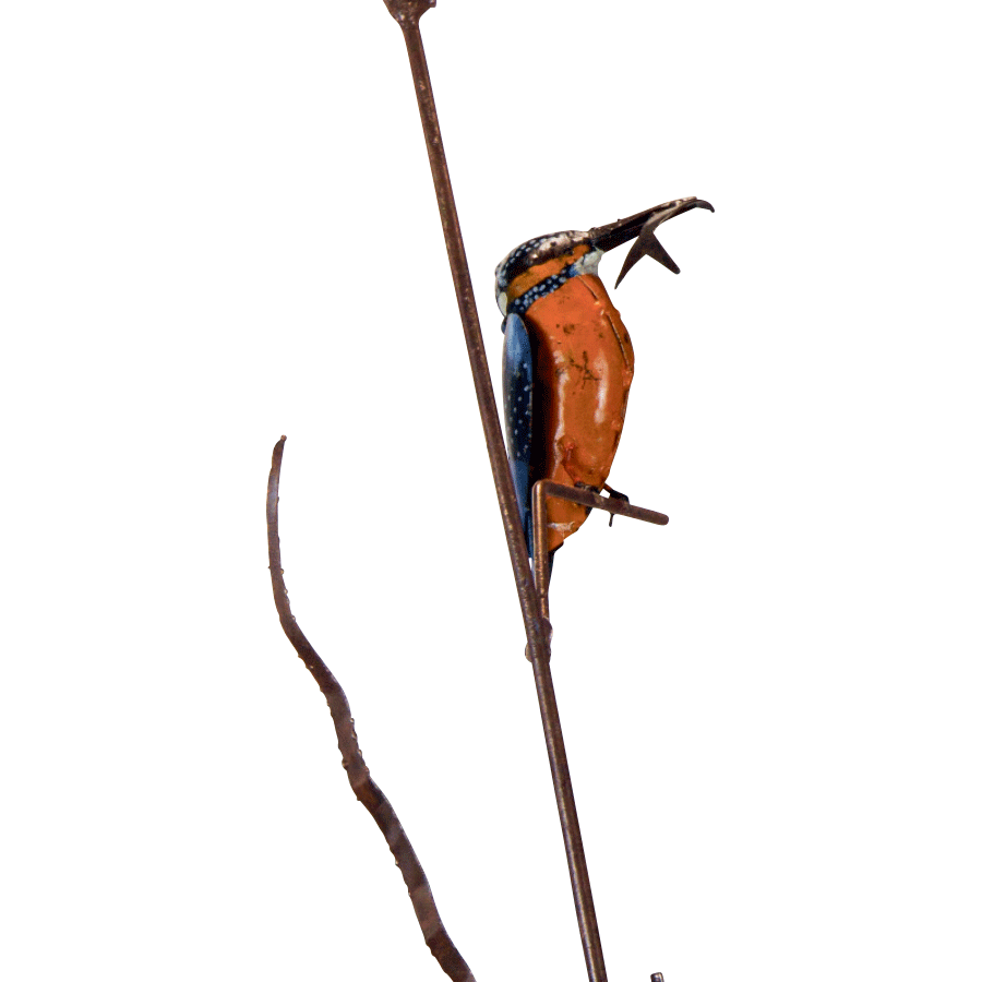 „Eisvogel auf Schilfrohr“