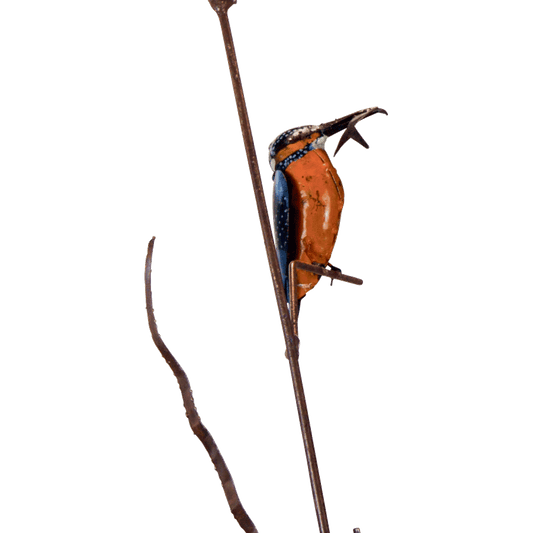 „Eisvogel auf Schilfrohr“