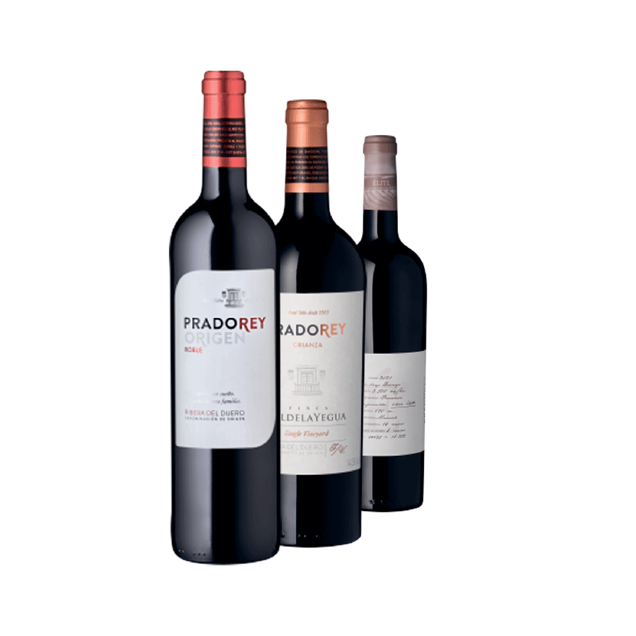 Produktabbildung: Weinauswahl „Élite del Duero“