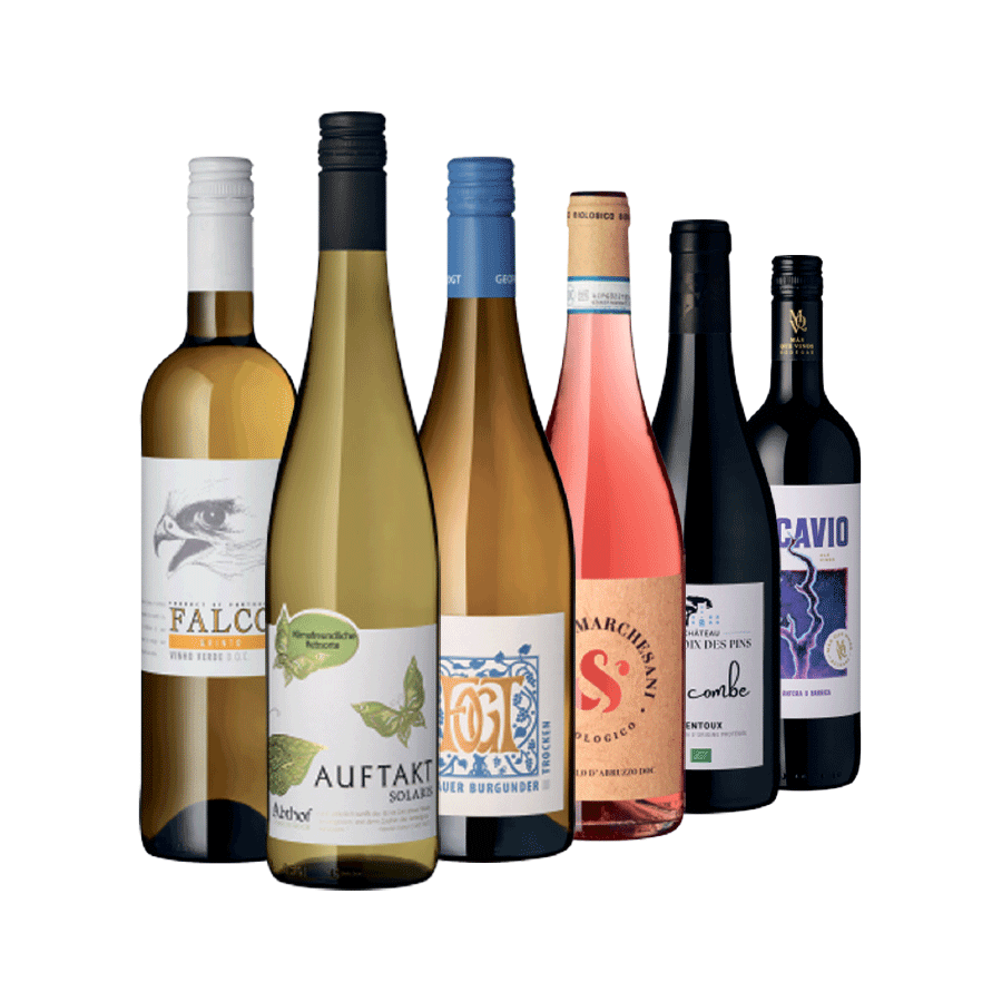 Produktabbildung: 6 Flaschen Weinauswahl „Auf Entdeckungskurs“