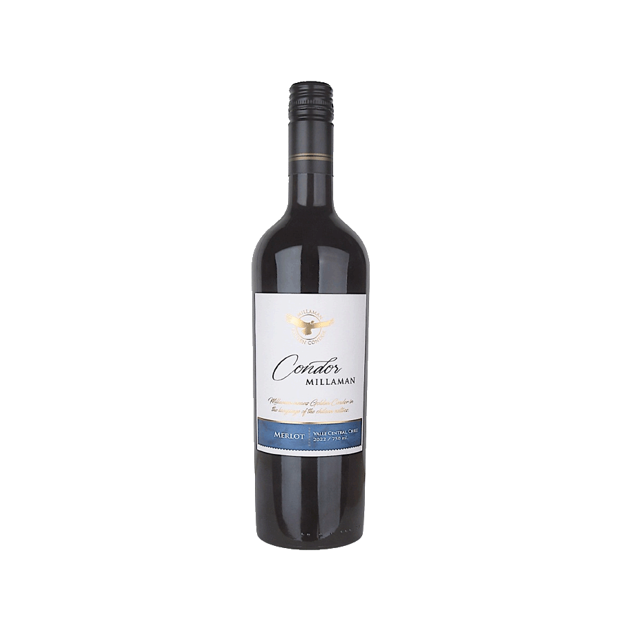Produktabbildung 2:  „Condor Millaman Merlot“ – Wein des Monats August - 1 Flasche