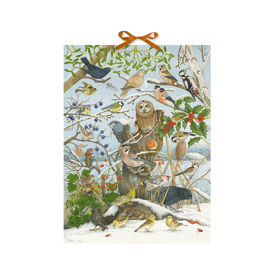 Produktabbildung: Sound-Adventskalender - 24 Vogelstimmen