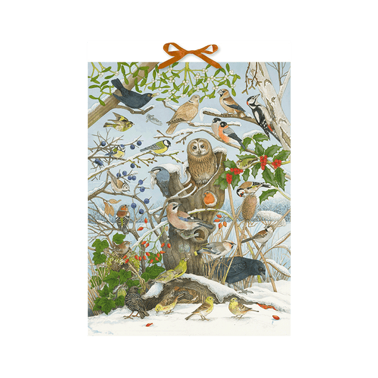 Produktabbildung: Sound-Adventskalender - 24 Vogelstimmen