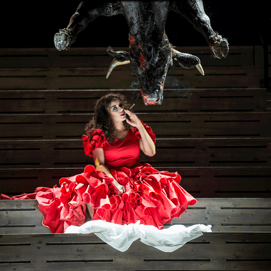 Georges Bizet „Carmen“ - exklusive Tickets 20.11.2025