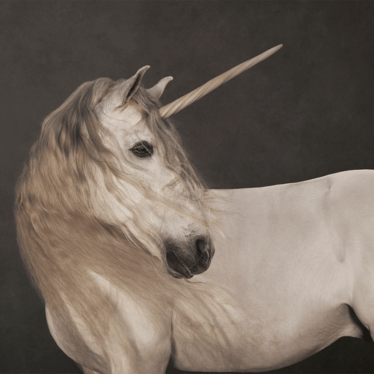 Bild 1 zur Ausstellung „Einhorn. Das Fabeltier in der Kunst“ – exklusive Tickets mit Zeitfenster