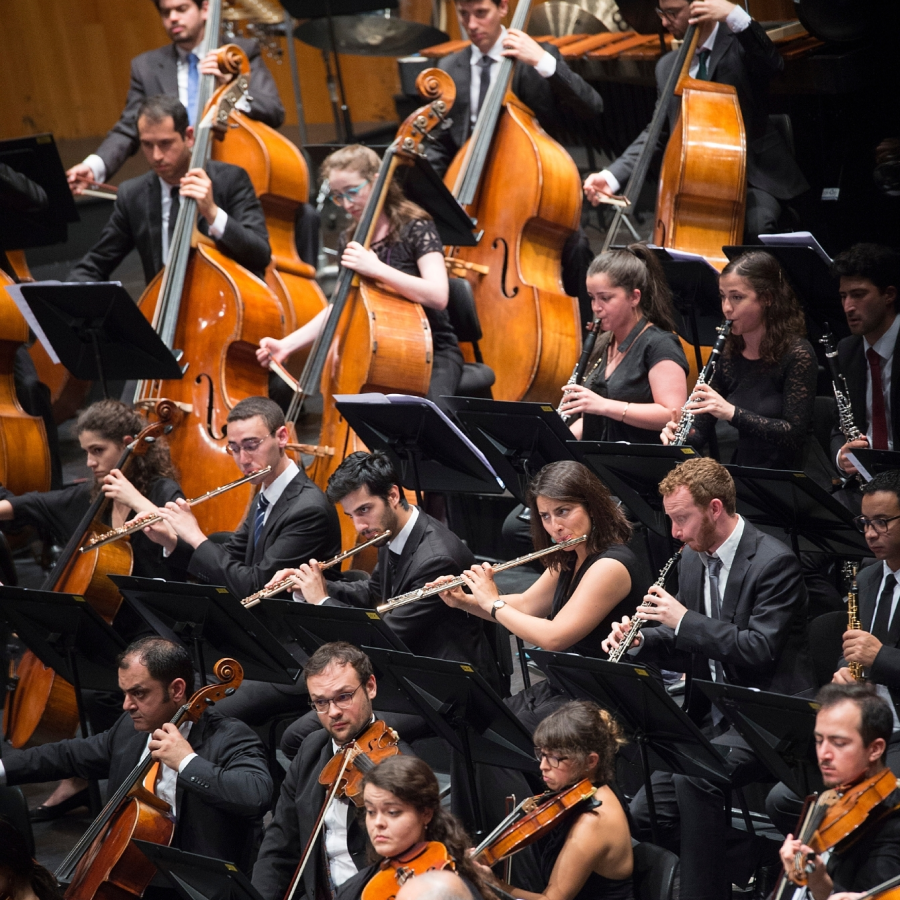 WEST-EASTERN DIVAN FESTIVAL: „Daniel Barenboim & West-Eastern Divan Orchestra“ – exklusive Tickets 11.11.2026