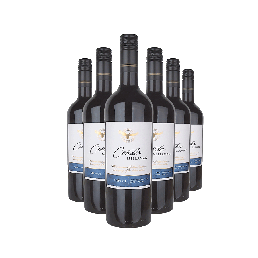 Produktabbildung 1:  „Condor Millaman Merlot“ – Wein des Monats August - 6 Flaschen