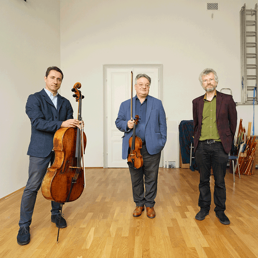 Bild der Gruppe Merlin Ensemble Wien