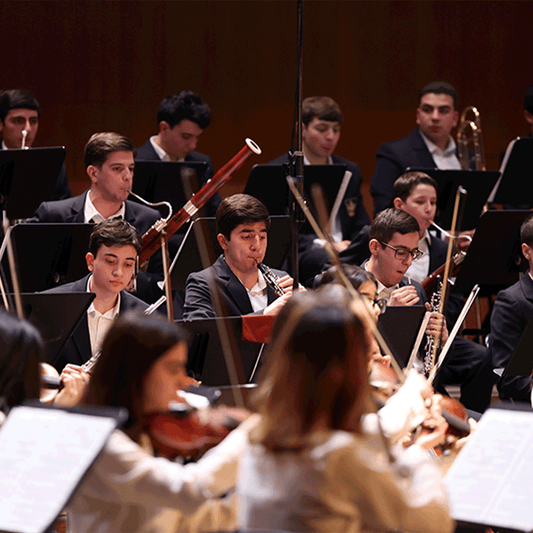 Bild des Yerevan Youth Symphony Orchestra aus Armenien